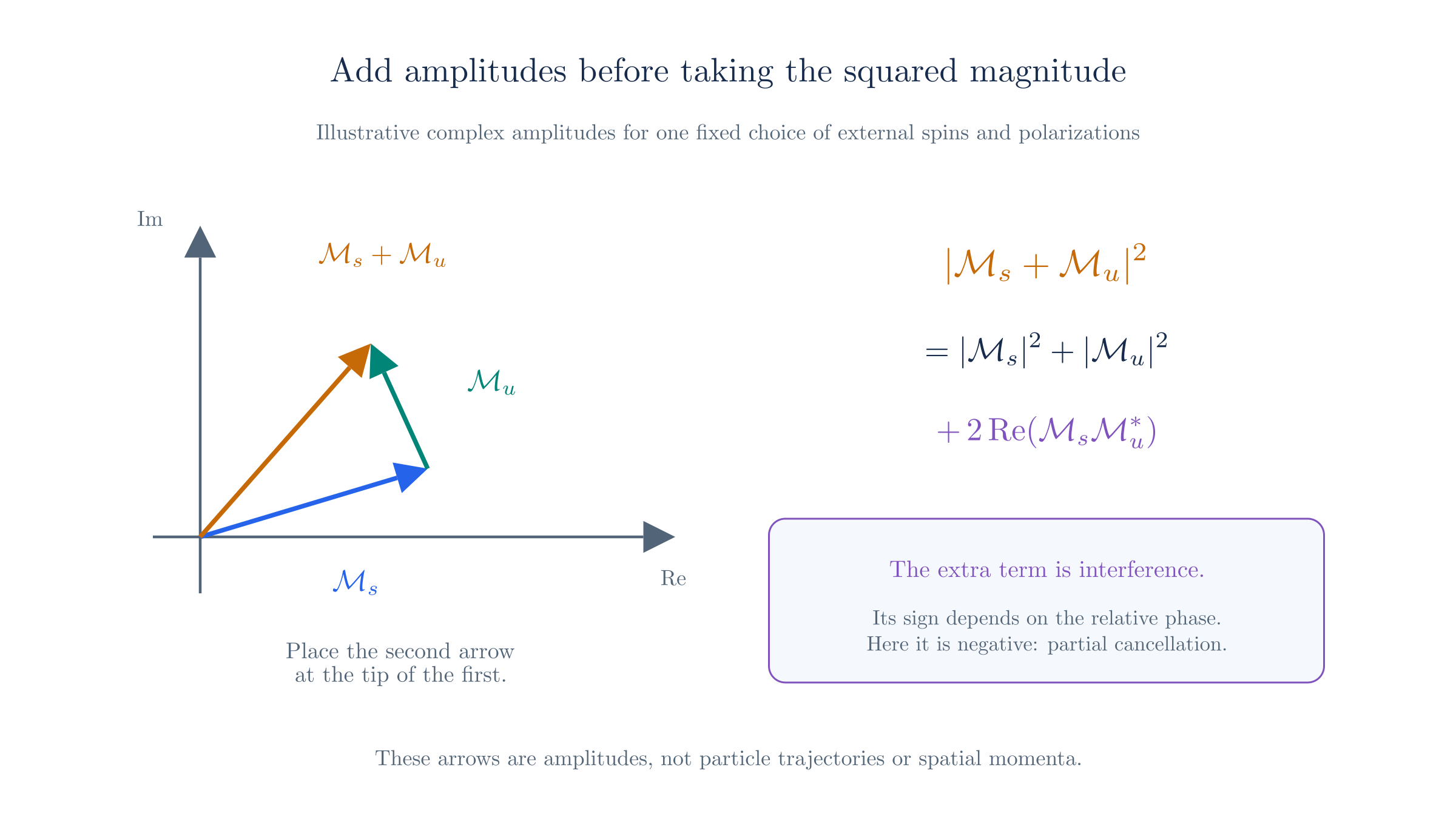 Complex amplitudes add as vectors. Their squared sum includes an interference term that depends on relative phase.