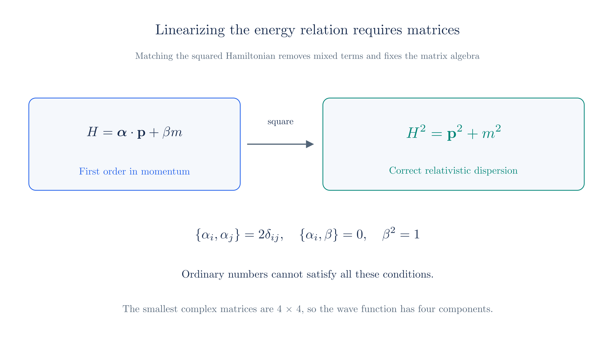 Squaring a first-order Hamiltonian fixes anticommutation relations that require matrix coefficients and a multicomponent wave function.