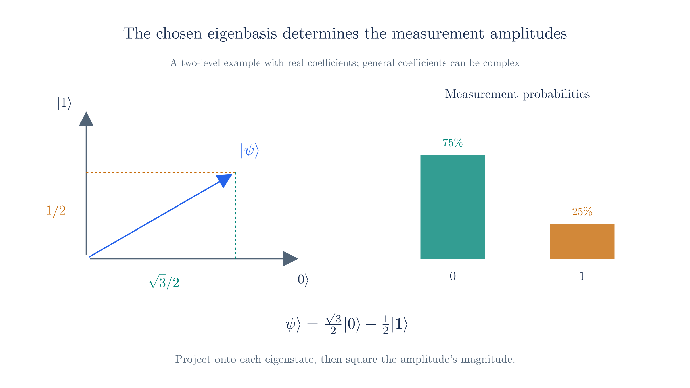 Resolve a state into the measurement eigenbasis. Squared coefficient magnitudes give the outcome probabilities.