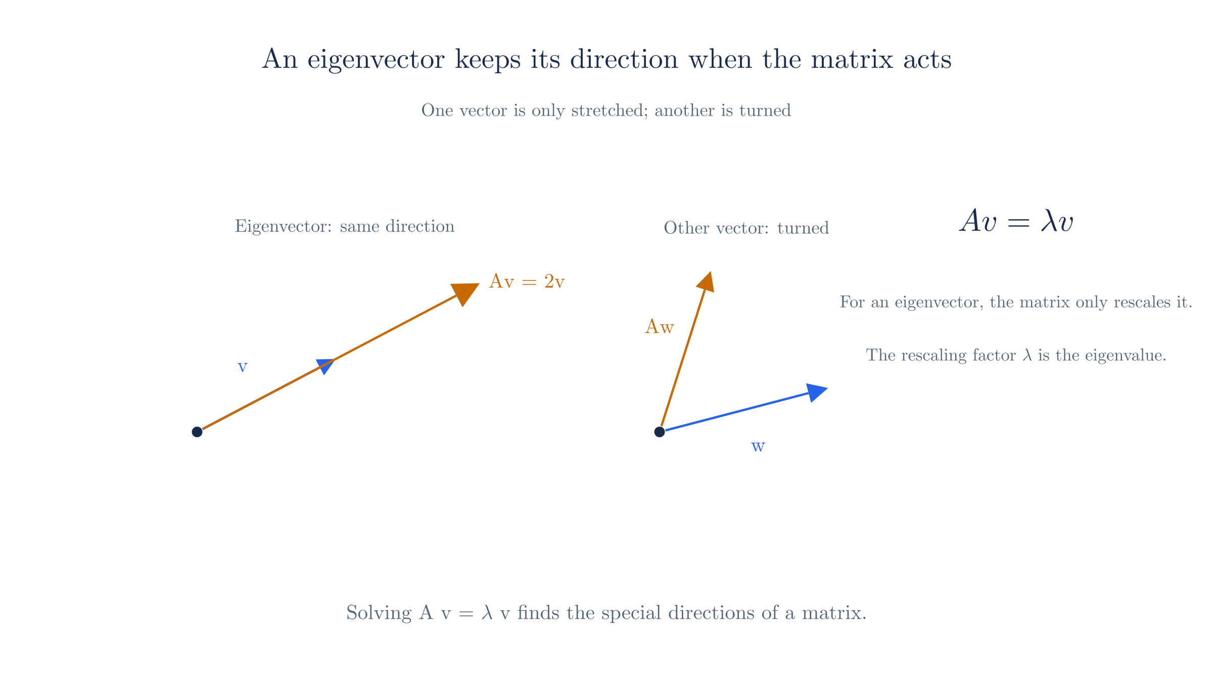 A matrix stretches an eigenvector without turning it, but turns an arbitrary vector.