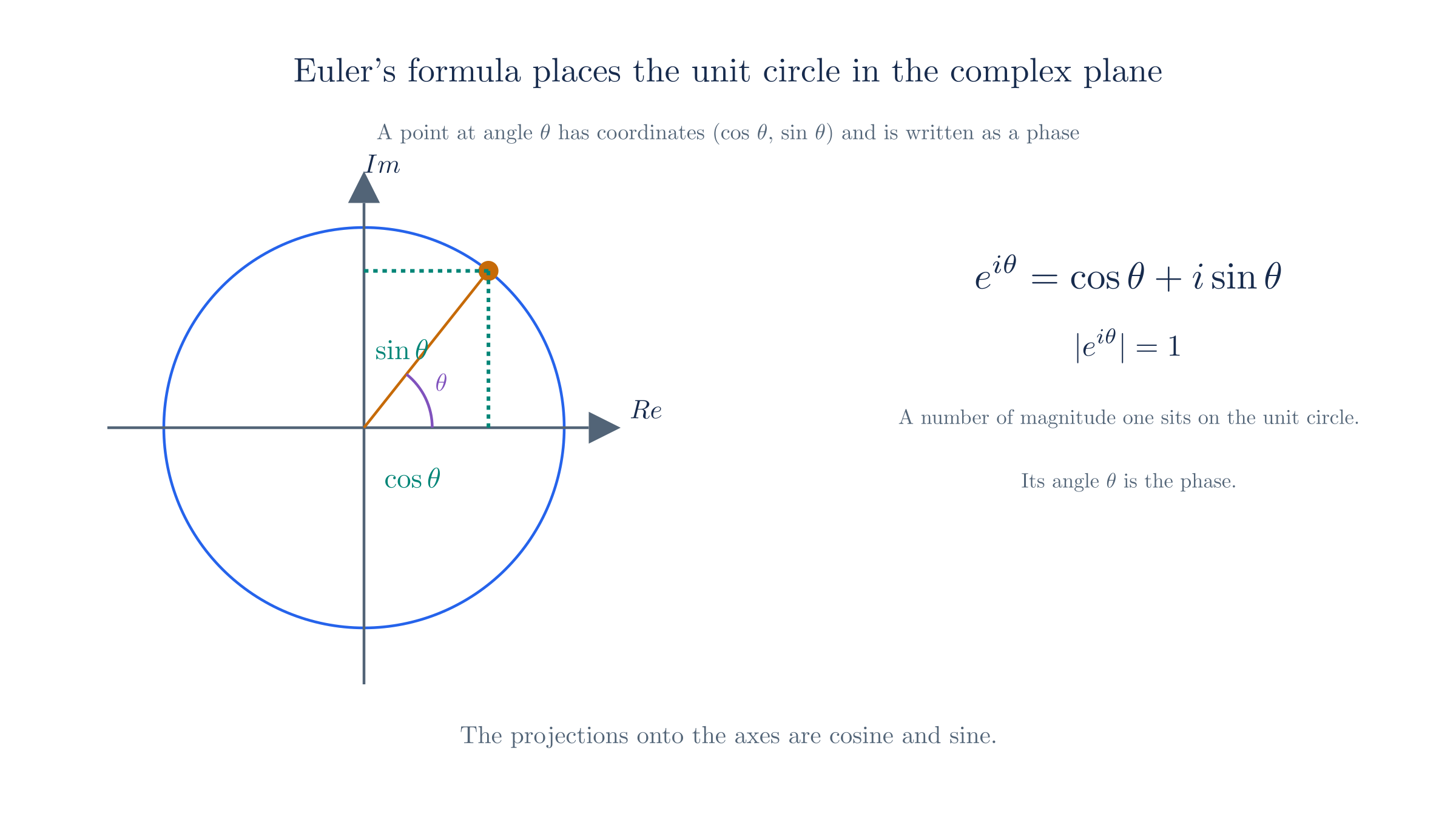 A point at angle θ on the unit circle has coordinates (cos θ, sin θ), so it is written as the phase e^{iθ}.