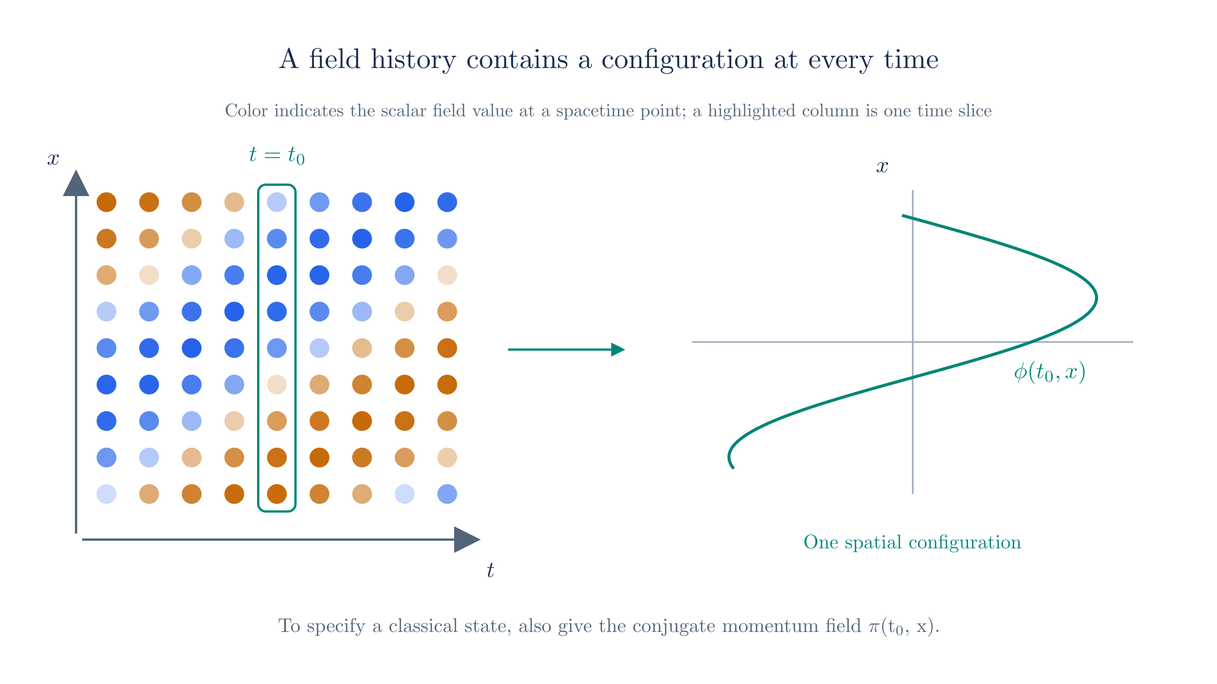A field history assigns a value to each spacetime point. A time slice gives one configuration; its conjugate momentum is also needed to specify the classical state.