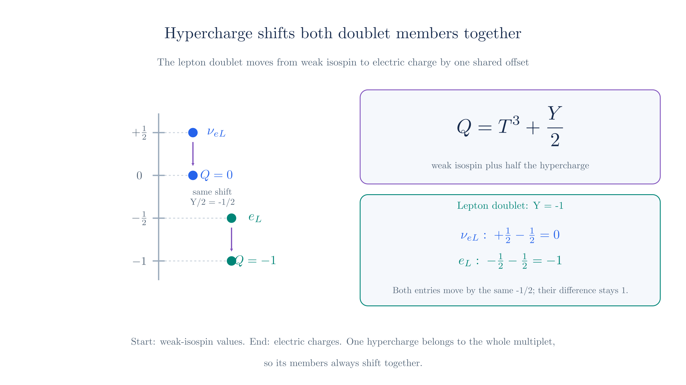 The doublet's weak-isospin values, +1/2 and −1/2, shift downward together by Y/2 = −1/2 and become the electric charges 0 and −1. The shared offset moves both entries without changing their separation.