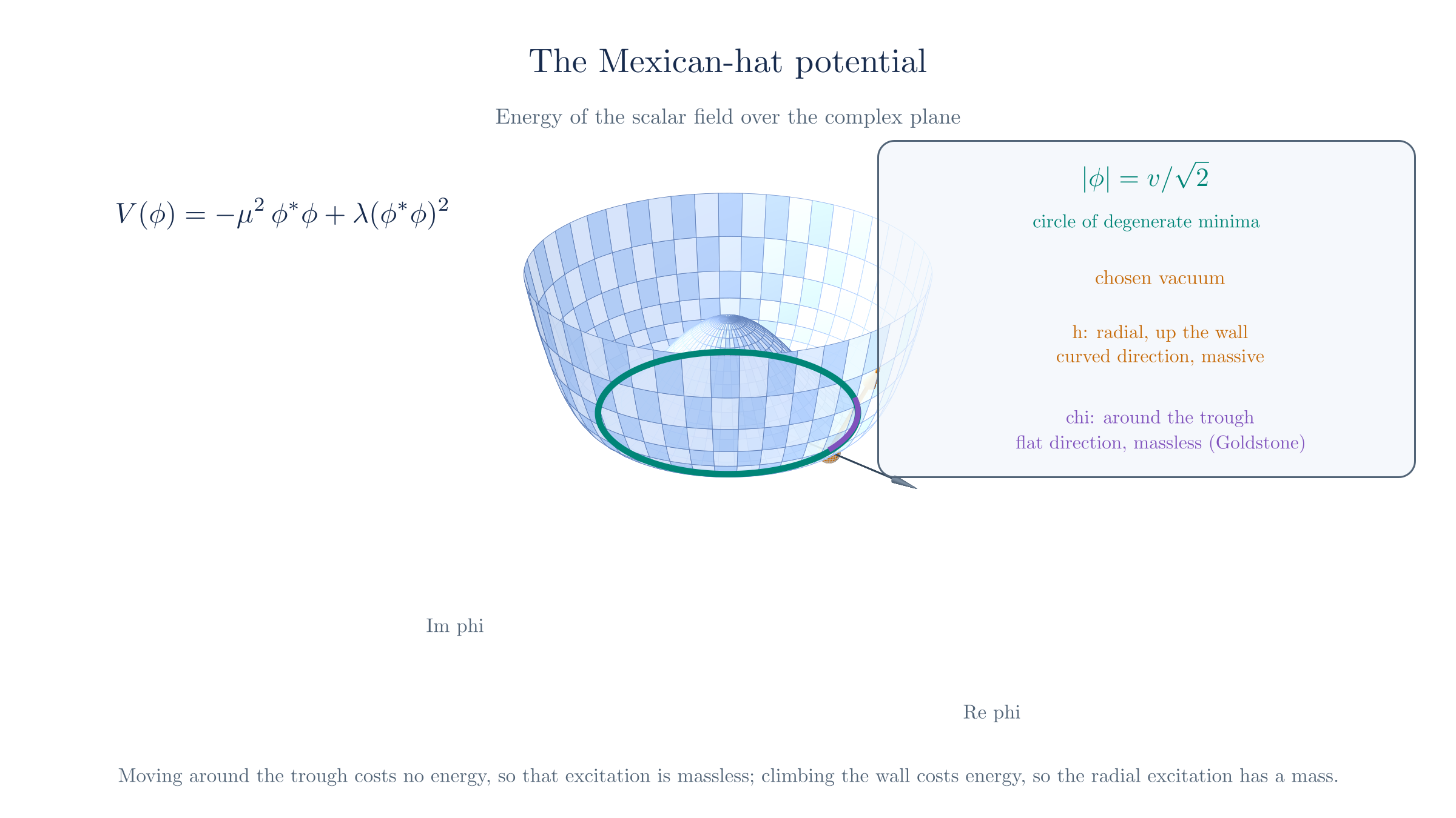 The Mexican-hat potential V(φ) plotted over the complex φ plane. The centre φ=0 is a local maximum; the lowest energy lies on a circle of radius v/√2, the degenerate minima. One point on that circle is the chosen vacuum. Moving around the trough (the flat direction) costs no energy and gives the massless Goldstone mode χ; moving radially up the wall costs energy and gives the massive mode h.