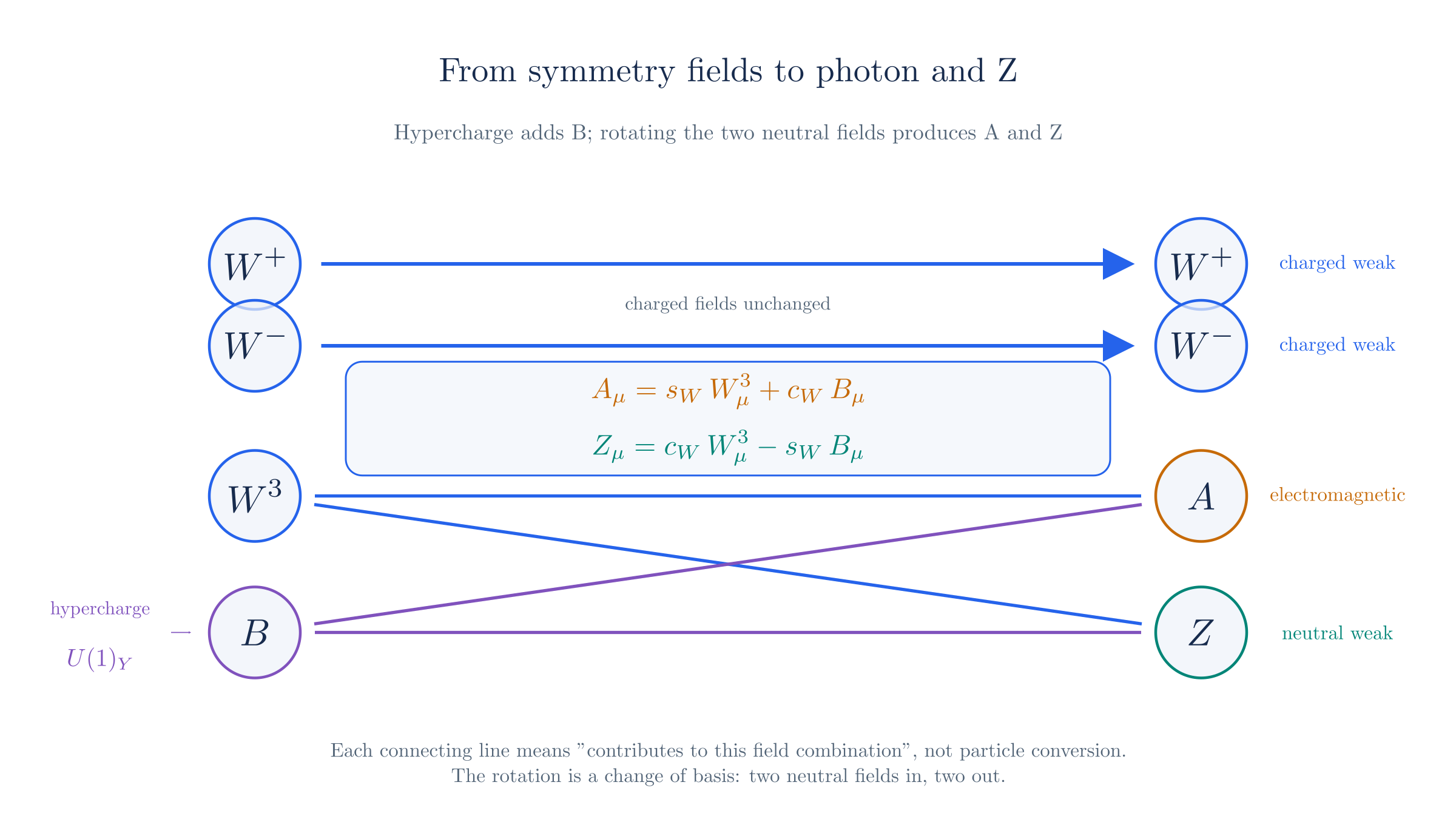 Weak isospin supplies W+, W−, and W³; hypercharge adds B. W³ and B each contribute to both the photon A and the Z, while W± continue unchanged into the charged weak interaction. Each connecting line means "contributes to this field combination": the neutral sector is a change of basis, not a particle conversion.