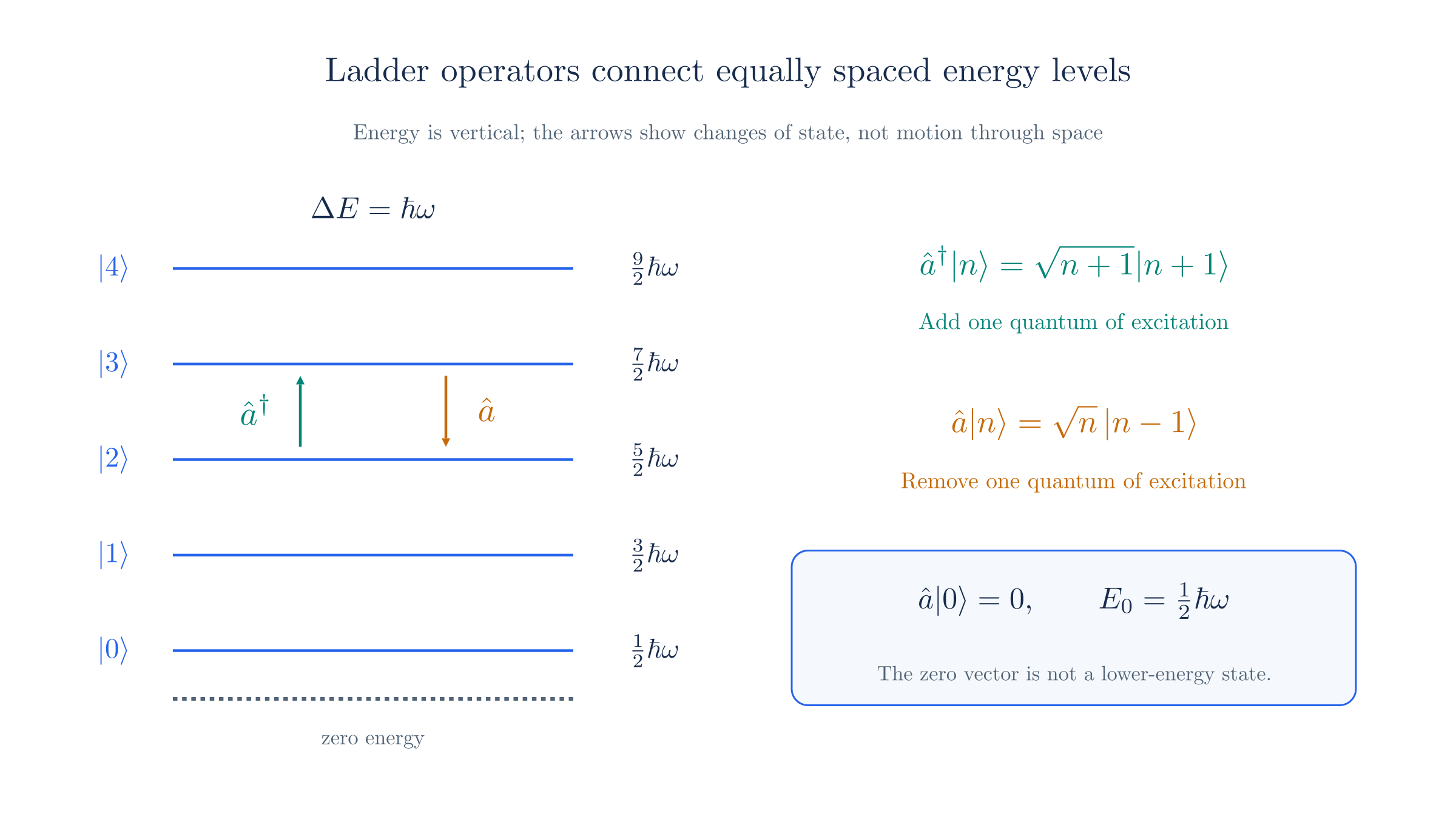 Creation and annihilation operators connect neighboring energy states. The lowest state has energy one-half hbar omega, and lowering it gives the zero vector.