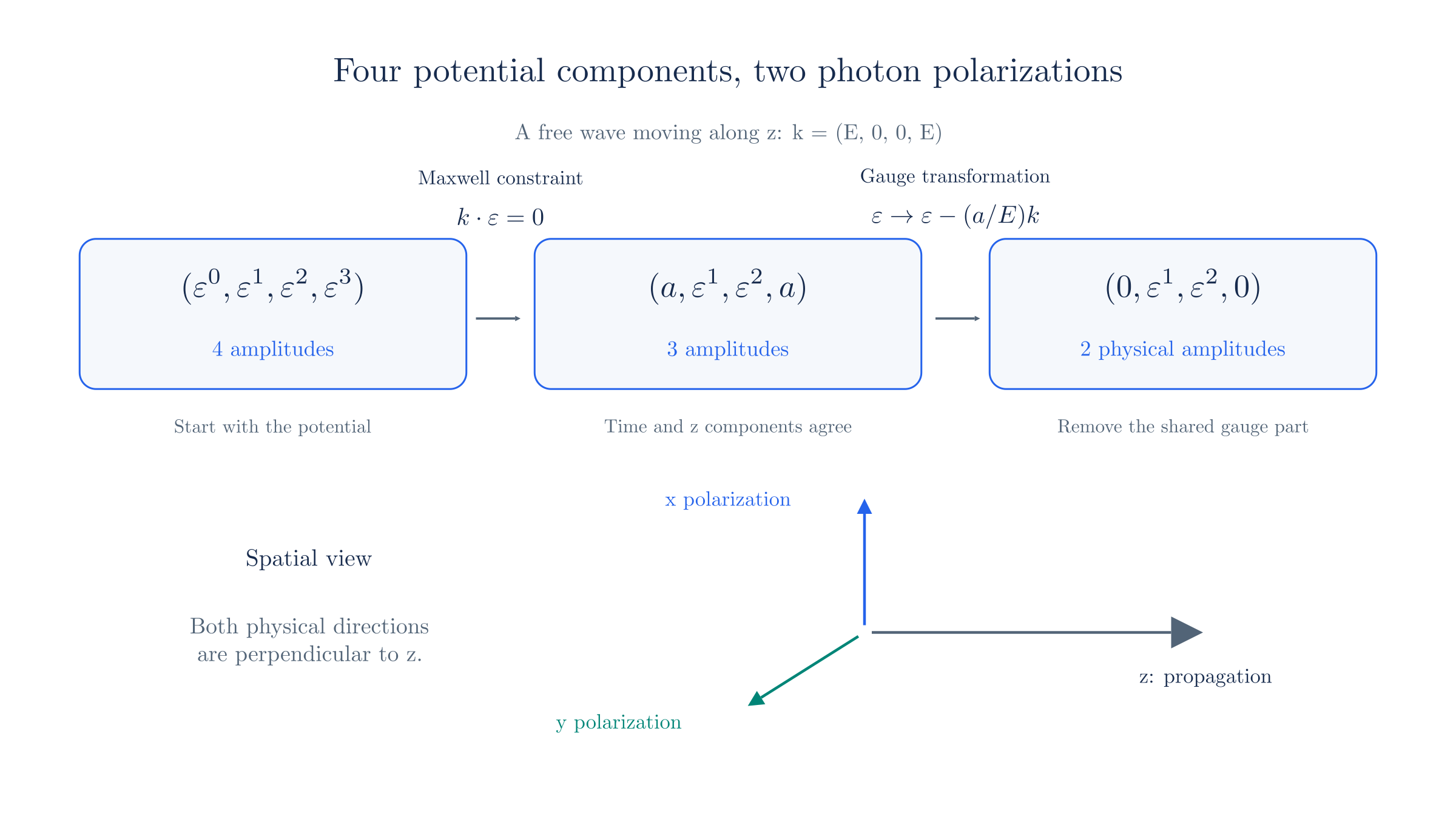 A photon moving along z: the Maxwell constraint ties the time and z components together, and a gauge transformation removes that shared component, leaving two transverse polarizations.