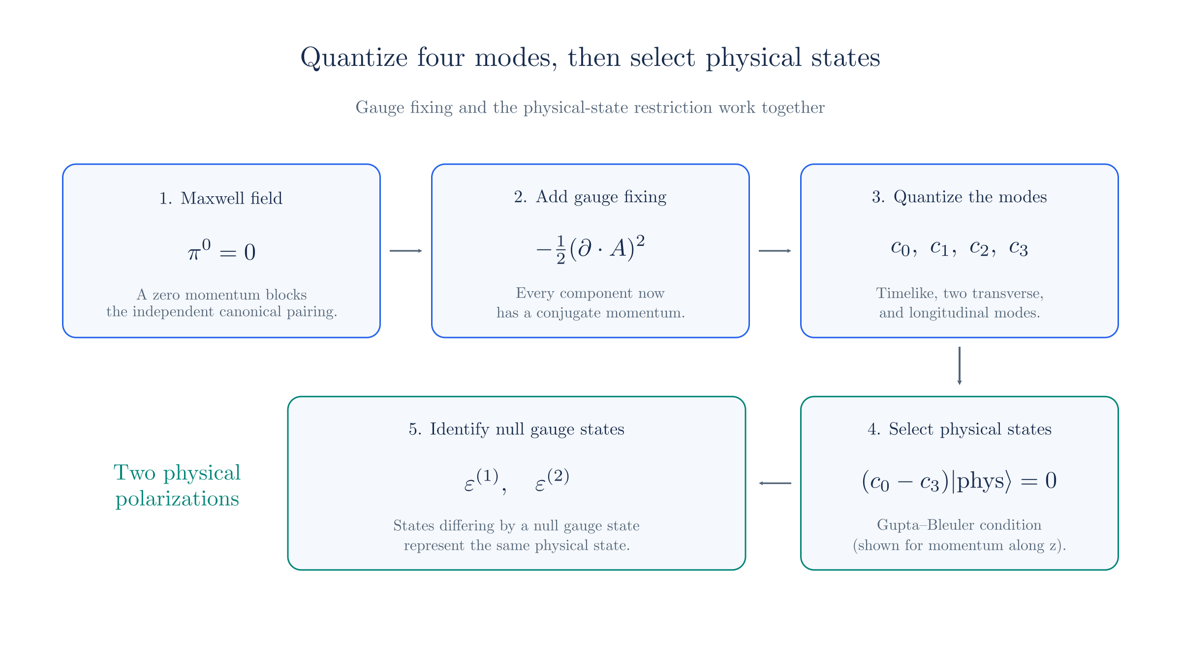 Gauge fixing gives four quantizable modes. The physical-state condition and identification of null gauge states recover the two physical photon polarizations.