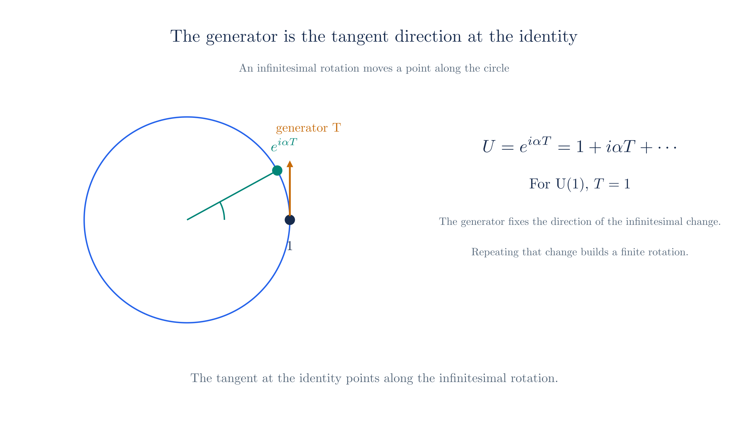 A rotation group is a circle; the tangent at the identity is the generator that fixes the direction of the infinitesimal change.