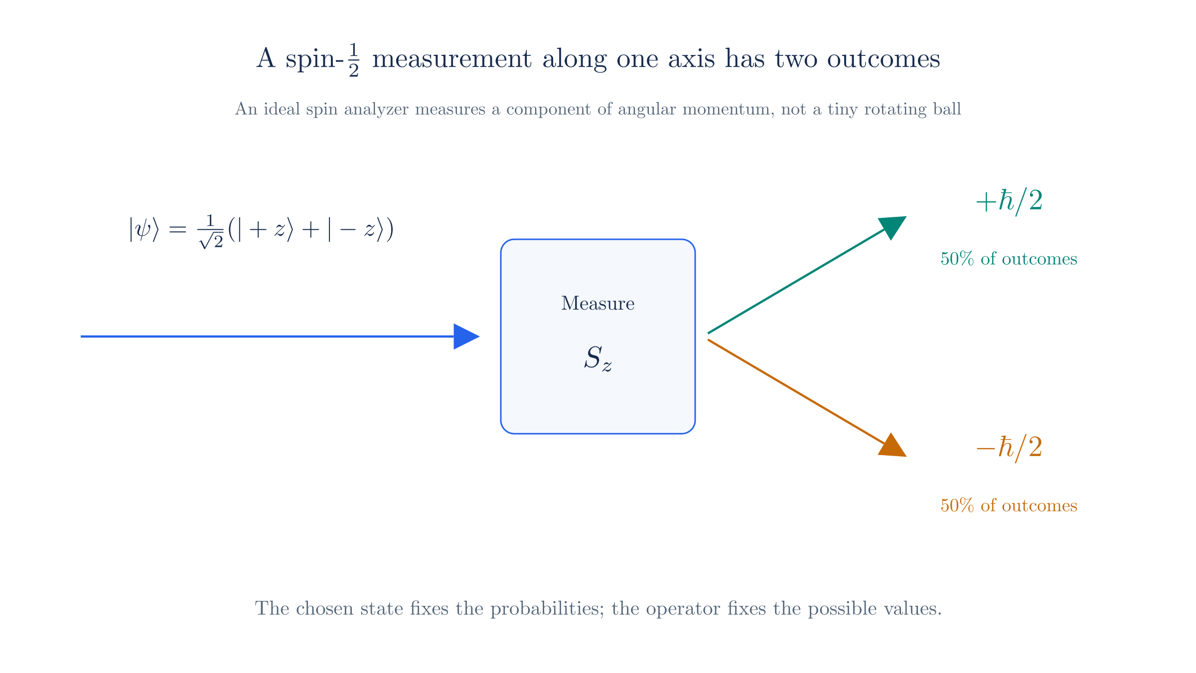 A Stern–Gerlach measurement correlates one incoming beam with two opposite spatial outcomes, corresponding to the two eigenvalues of .