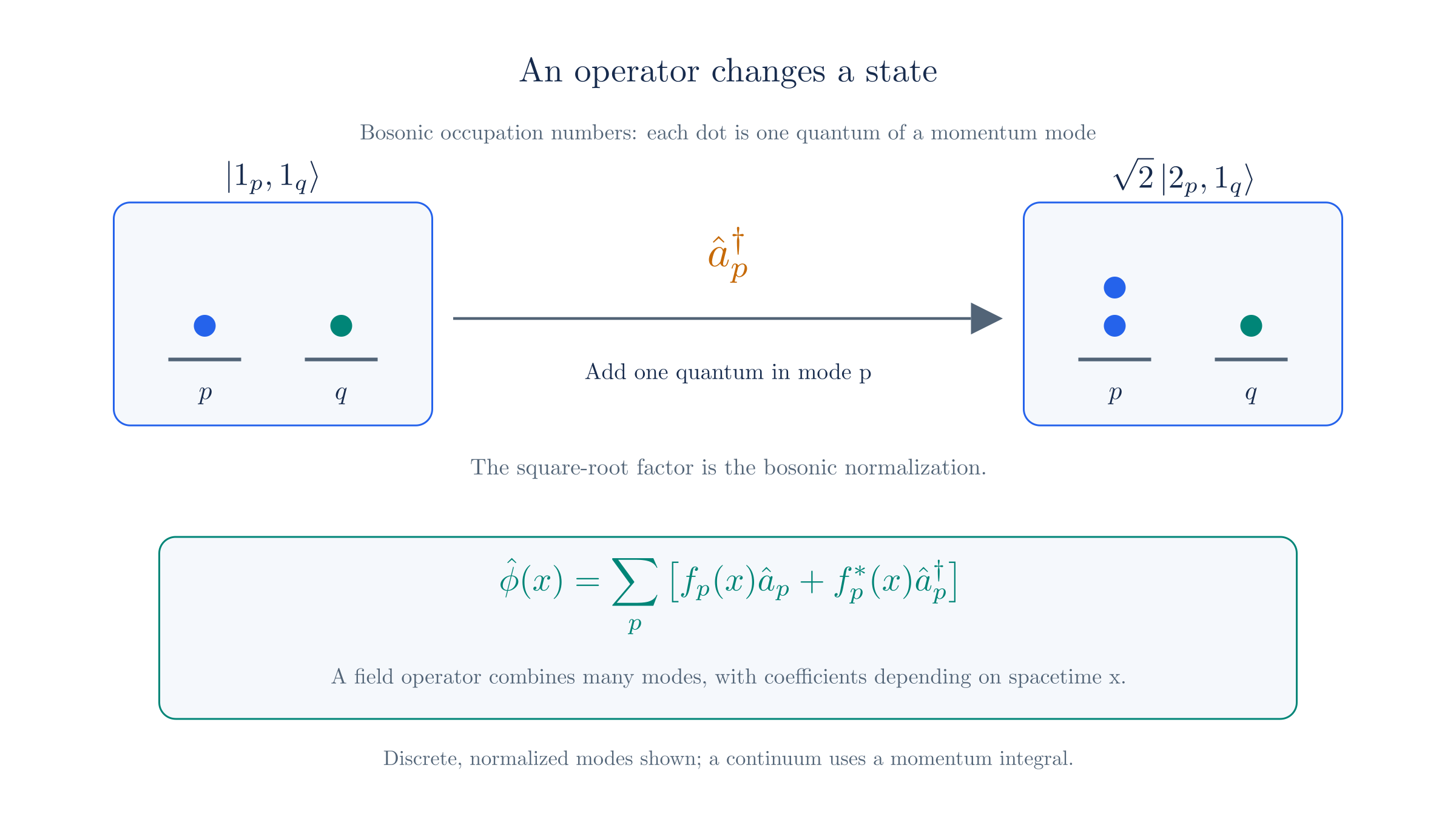 A creation operator adds a quantum to a particular mode. A field operator combines creation and annihilation operators for many modes.