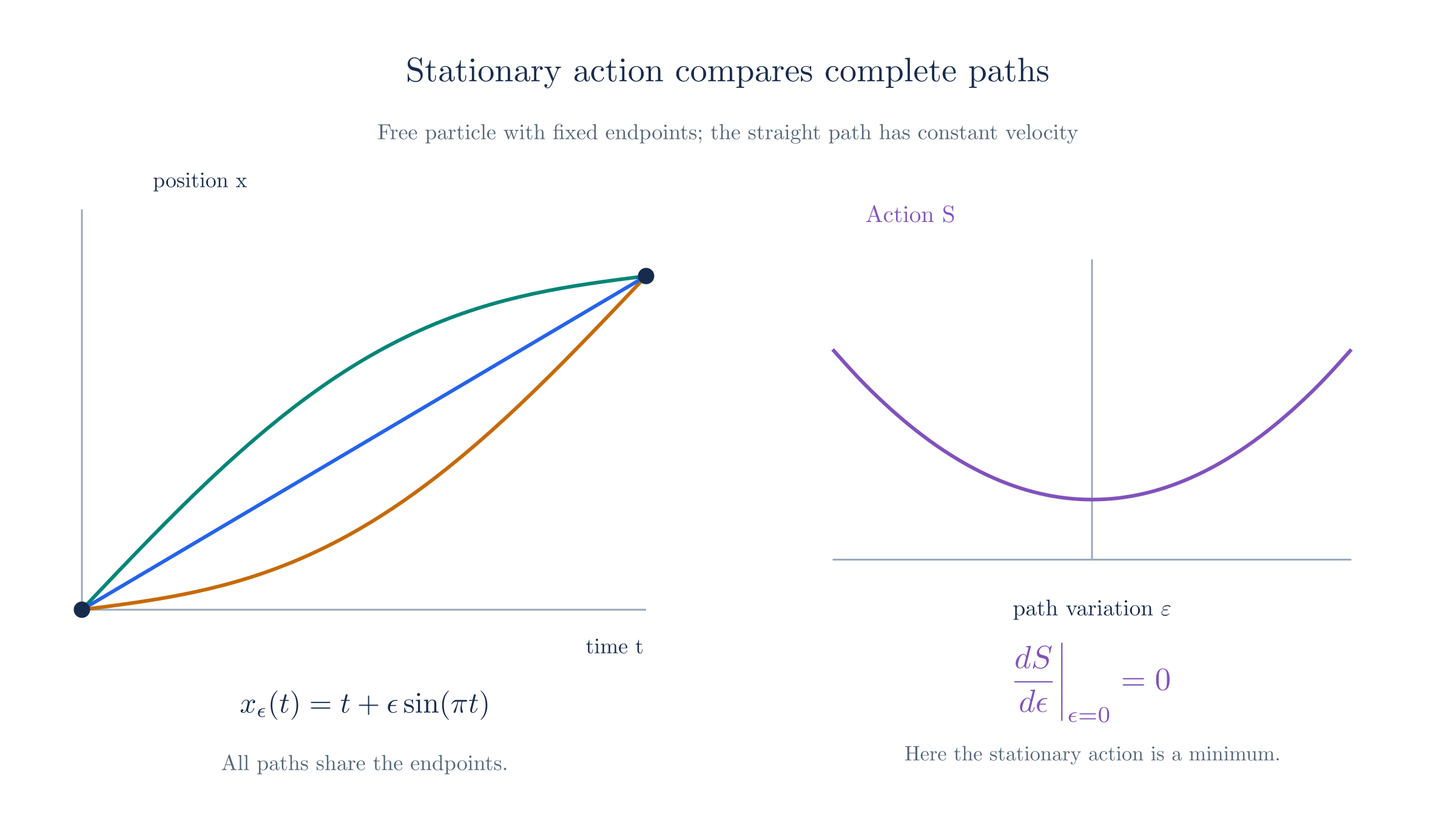 Vary a free-particle path while fixing its endpoints. The physical path makes the first-order action variation vanish.