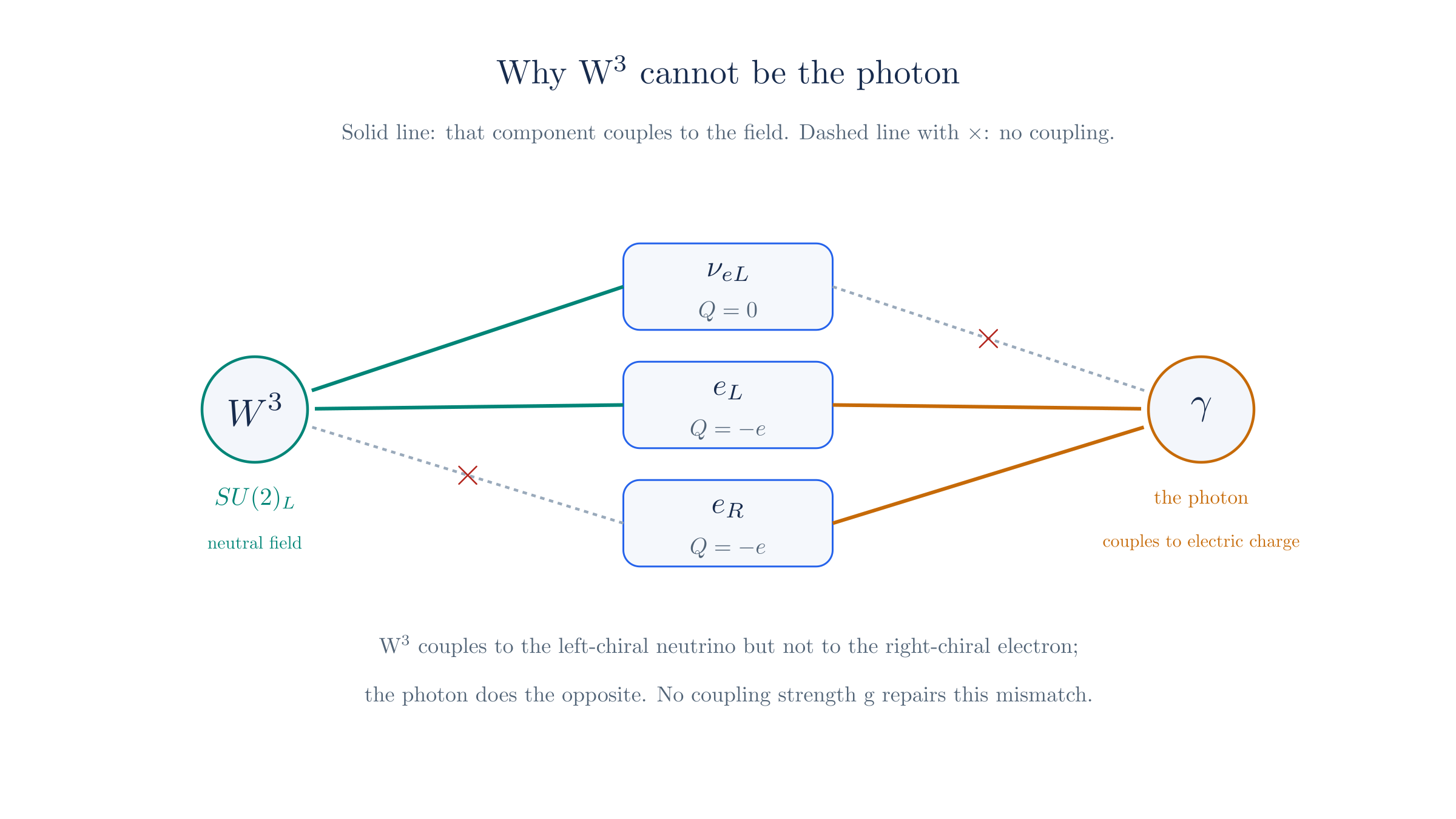 Coupling map for the neutral weak field and the photon. W³ couples to the left-chiral neutrino and electron but not to the right-chiral electron; the photon couples to both electron chiralities but not to the neutrino. The two patterns disagree, so W³ cannot be the photon.